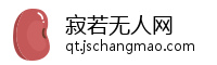 寂若无人网